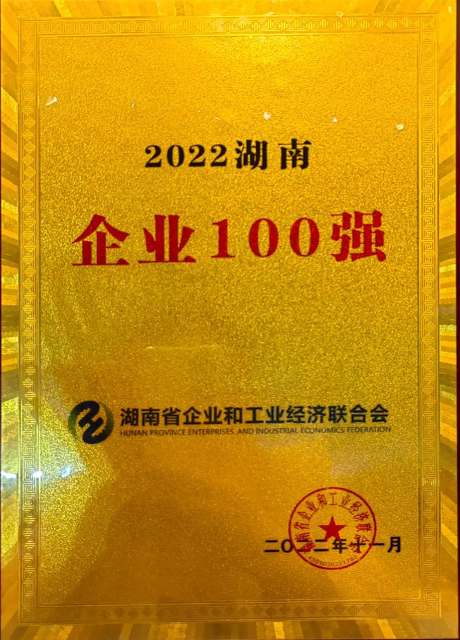 湖南企業(yè)100強(qiáng)
