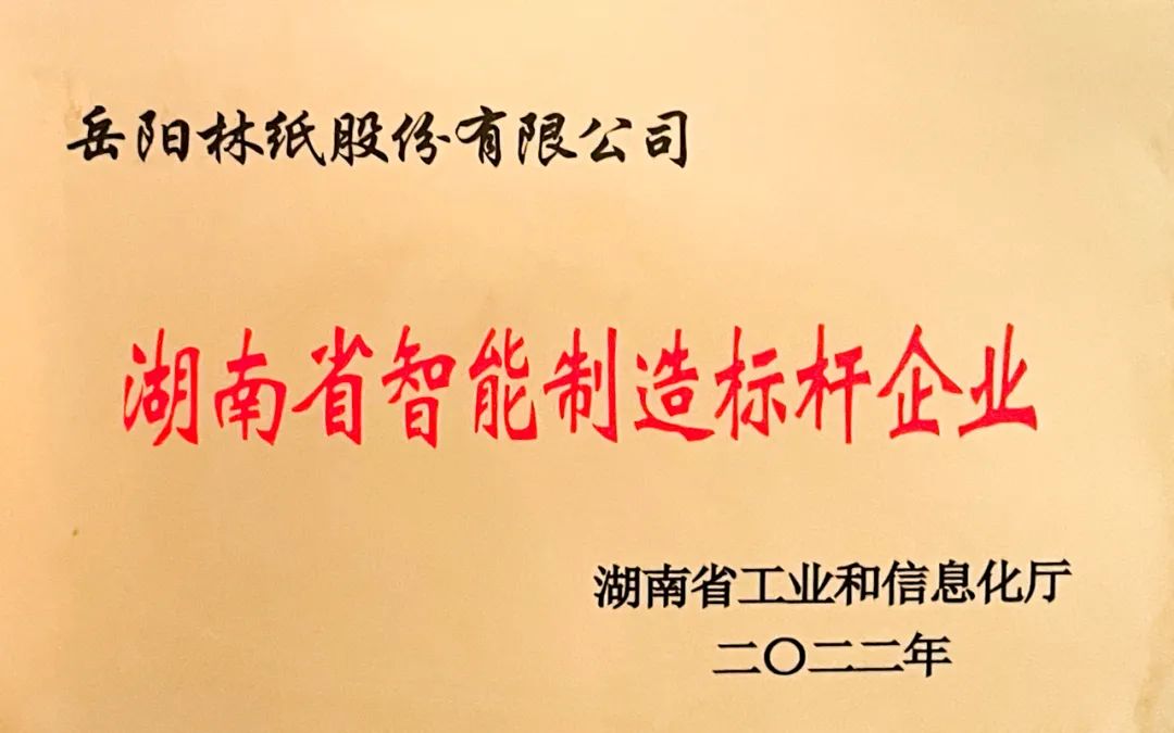 湖南省智能制造標(biāo)桿企業(yè)